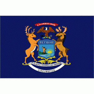 3'x5' Michigan State Flag Nylon